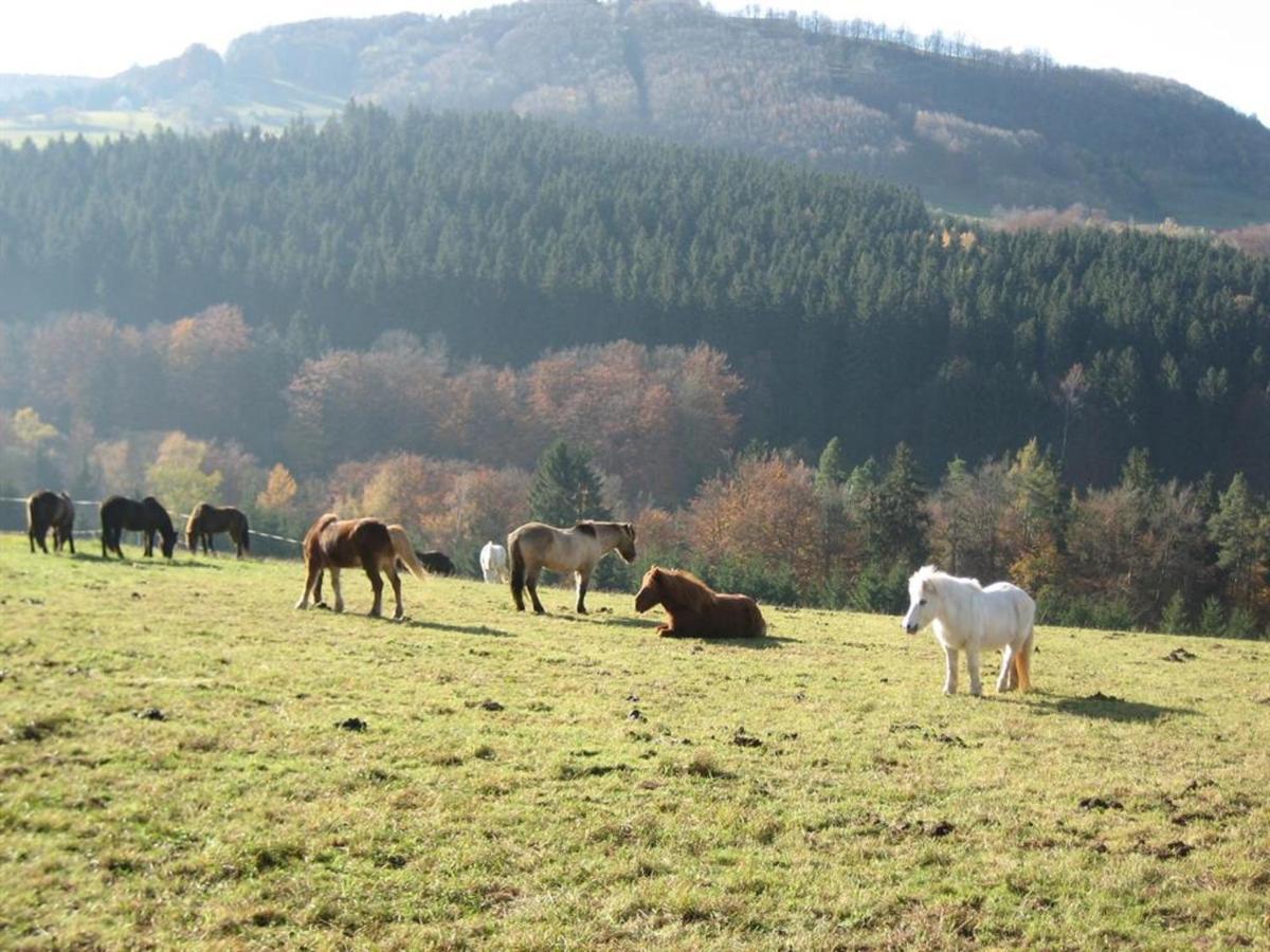 Ferienhaus Rhoenspass Mosbach  ภายนอก รูปภาพ