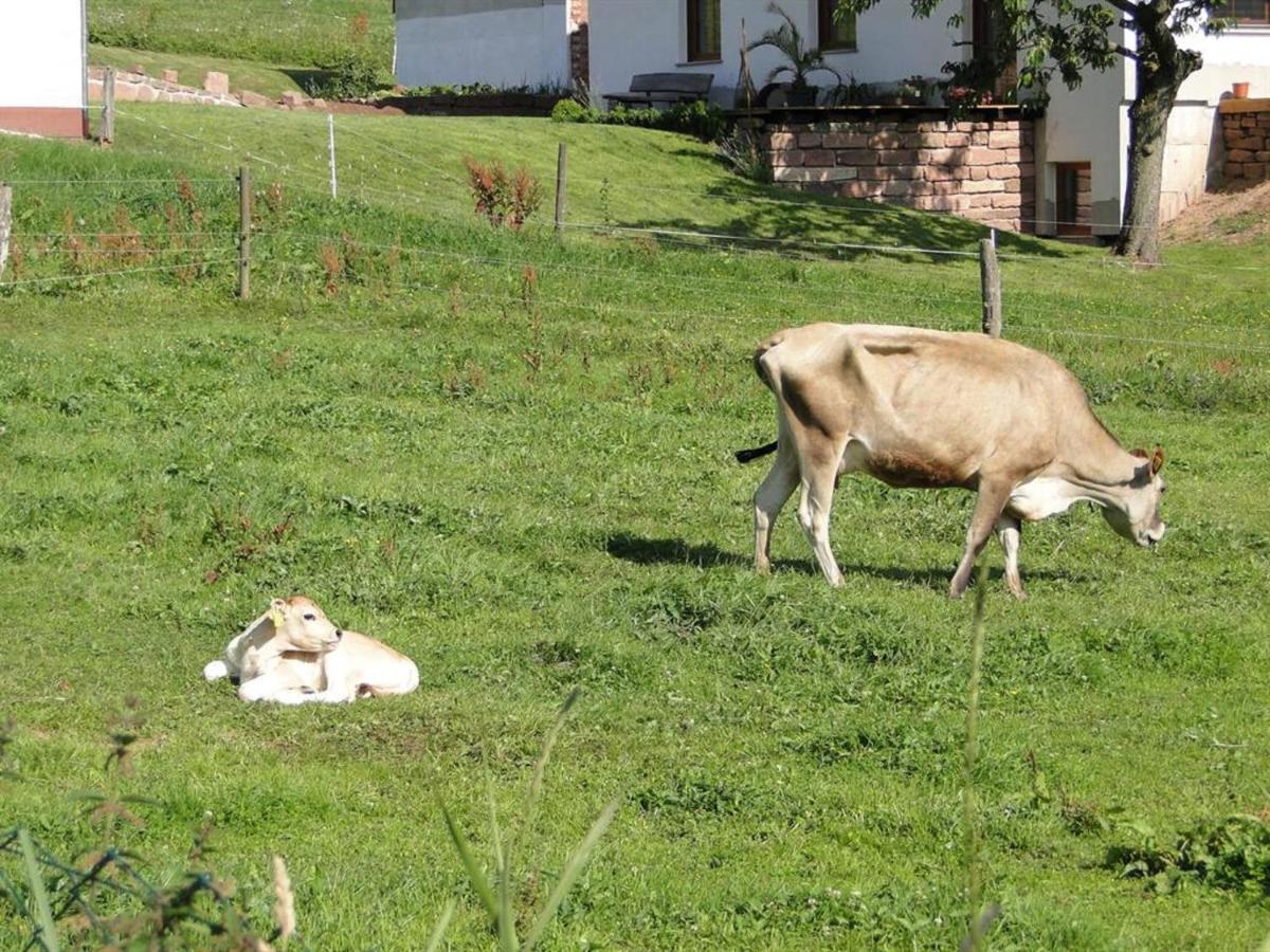 Ferienhaus Rhoenspass Mosbach  ภายนอก รูปภาพ
